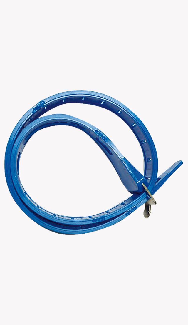 SKI STRAP PRO